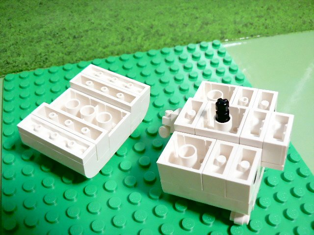 whitepig_06.jpg