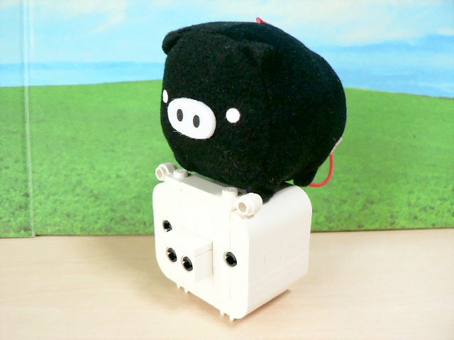 whitepig_08.jpg