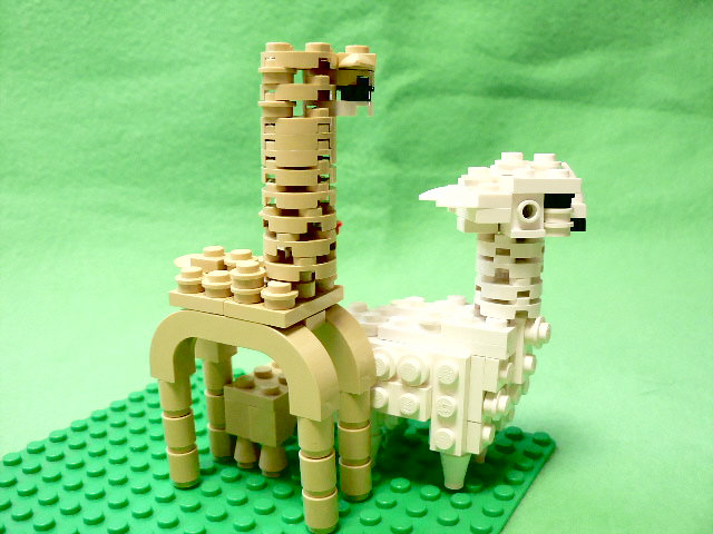 alpaca_03.jpg