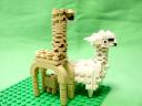 alpaca_03.jpg