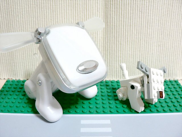 idog_01.jpg