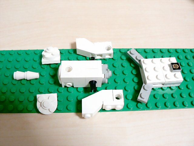 idog_09.jpg