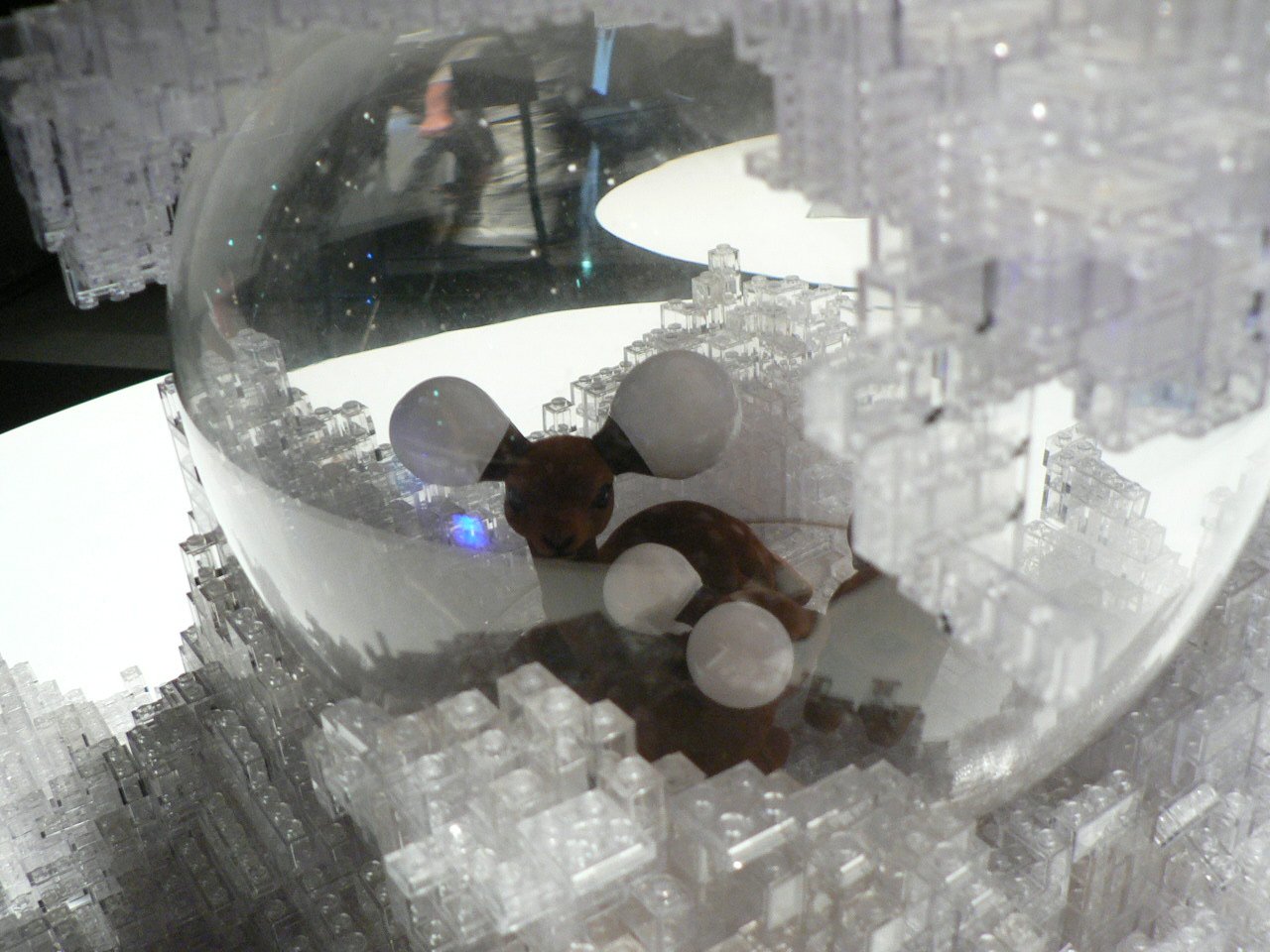 pop2012_077.jpg