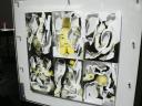 pop2012_068.jpg