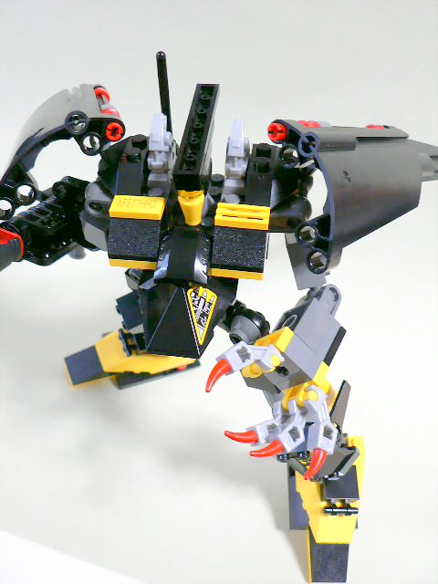 8105only_11.jpg