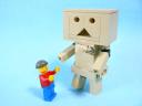danboard_05.jpg