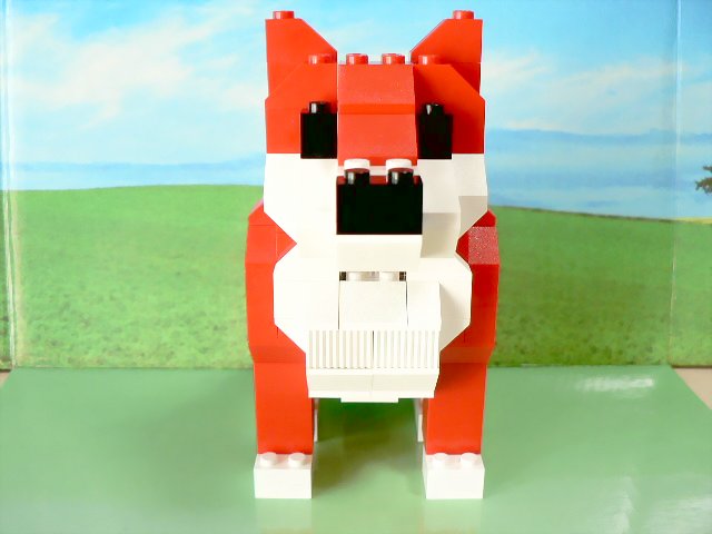 reddog_08.jpg