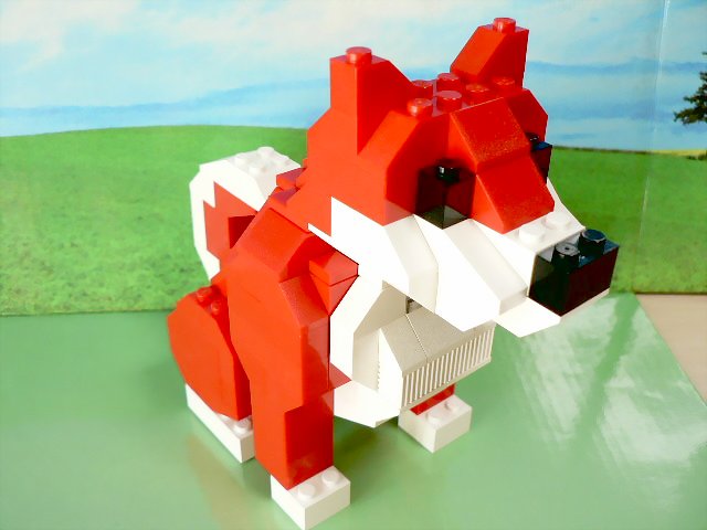 reddog_09.jpg