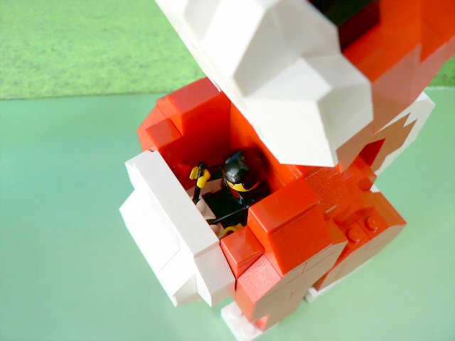 reddog_13.jpg