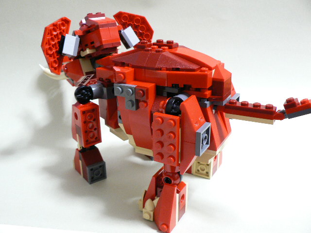 4892_20.jpg