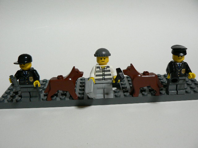 9247_10.jpg