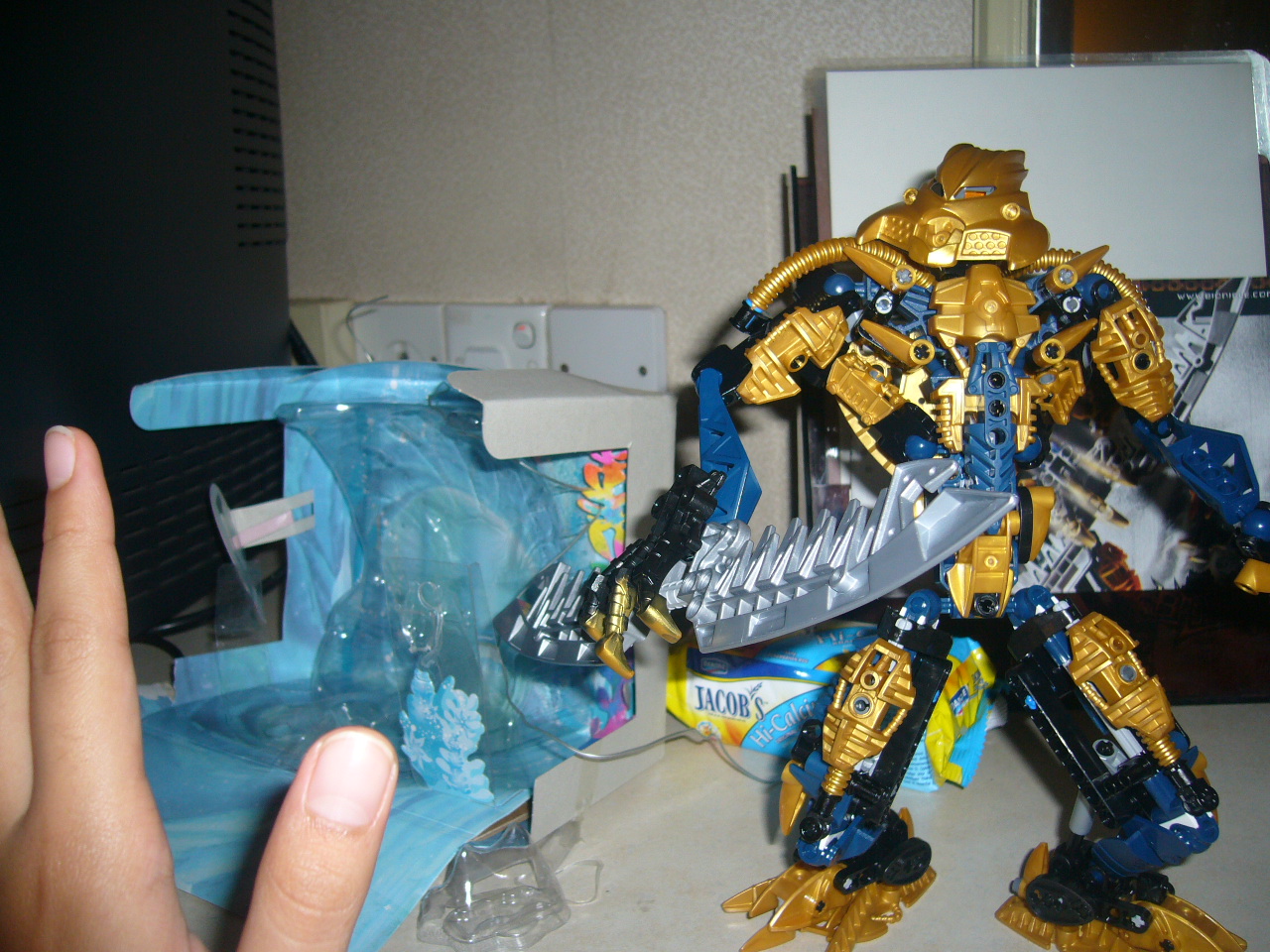 p1000097.jpg