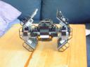 dsc00539.jpg
