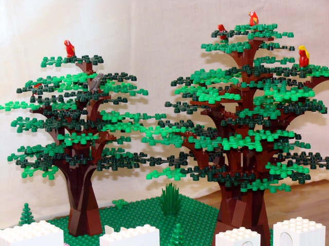 moc_lusolympic_13.jpg