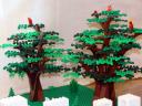 moc_lusolympic_13.jpg