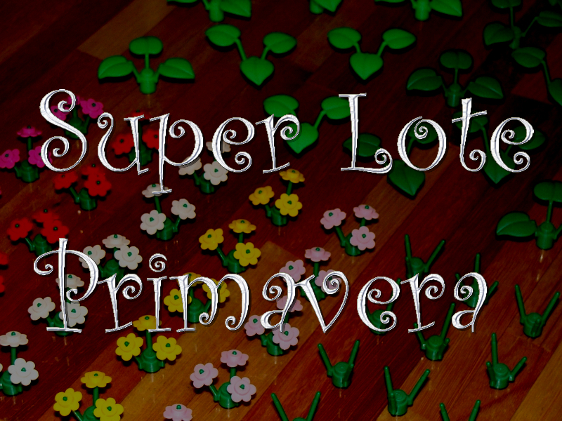 super_lote_primavera_1a.jpg
