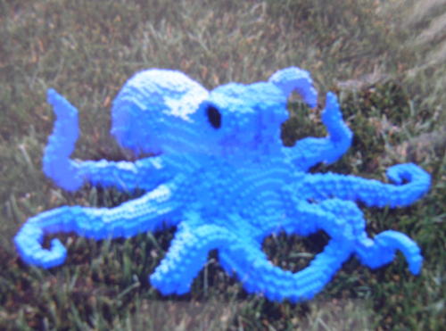 octopus.jpg