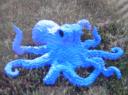 octopus.jpg