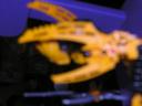 dscn7294.jpg