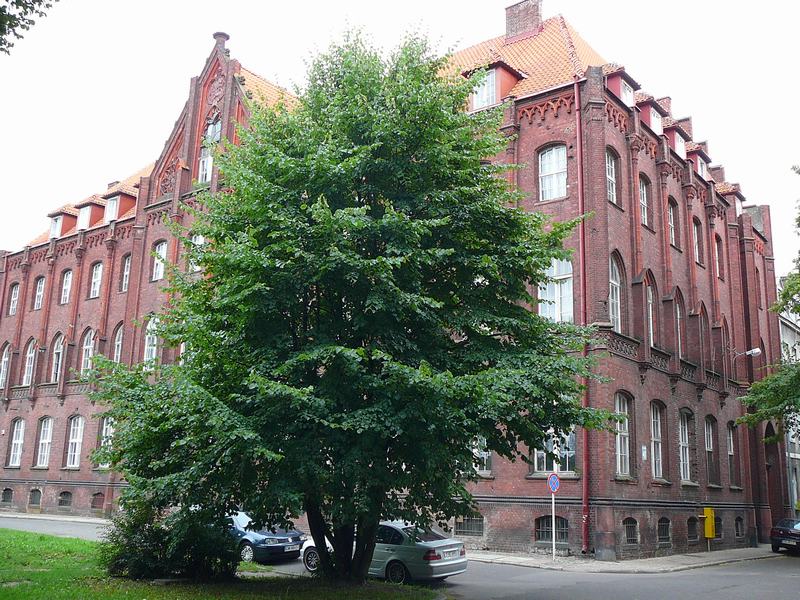 p1030807.jpg
