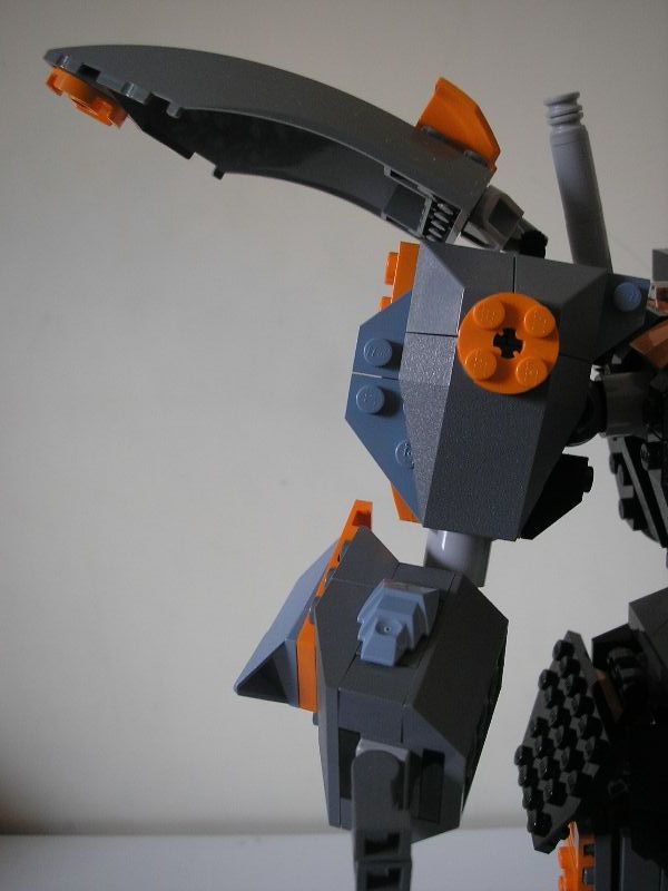 17_arm.jpg