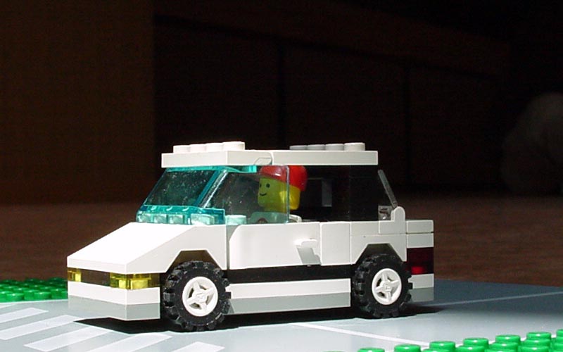 ayucow002.jpg