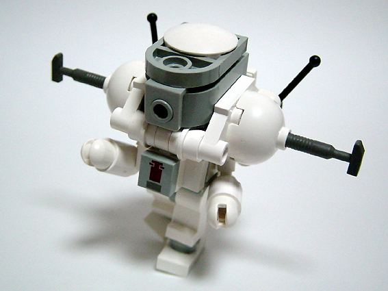c-type01.jpg