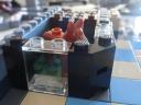 dsc03217.jpg