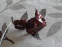 dsc03927.jpg