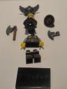 dsc02647.jpg