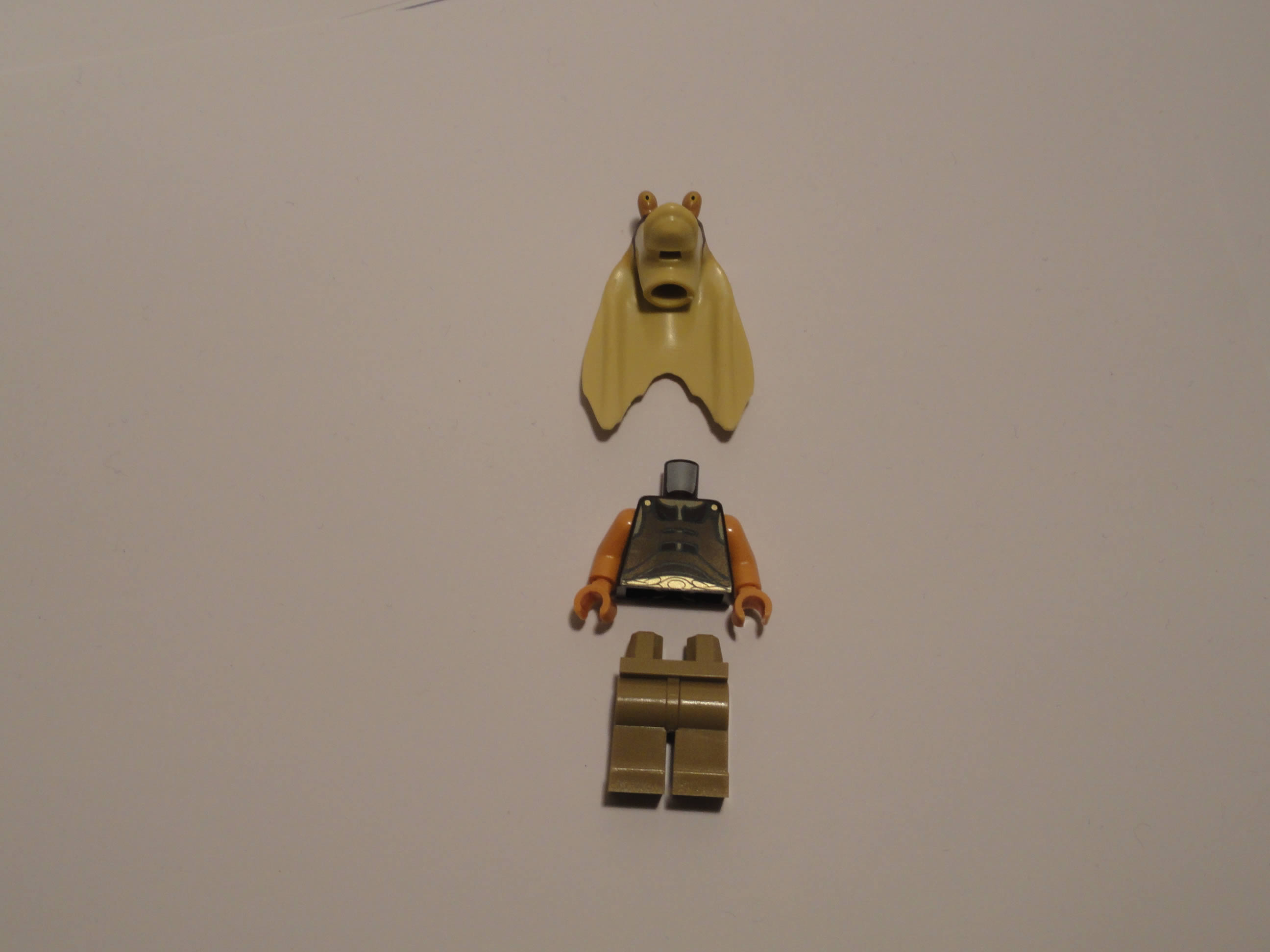 dsc05510.jpg