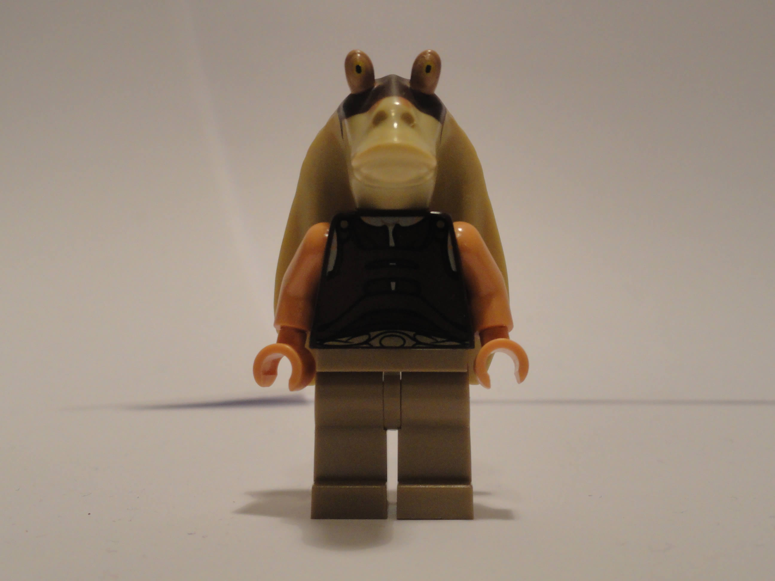 dsc05511.jpg