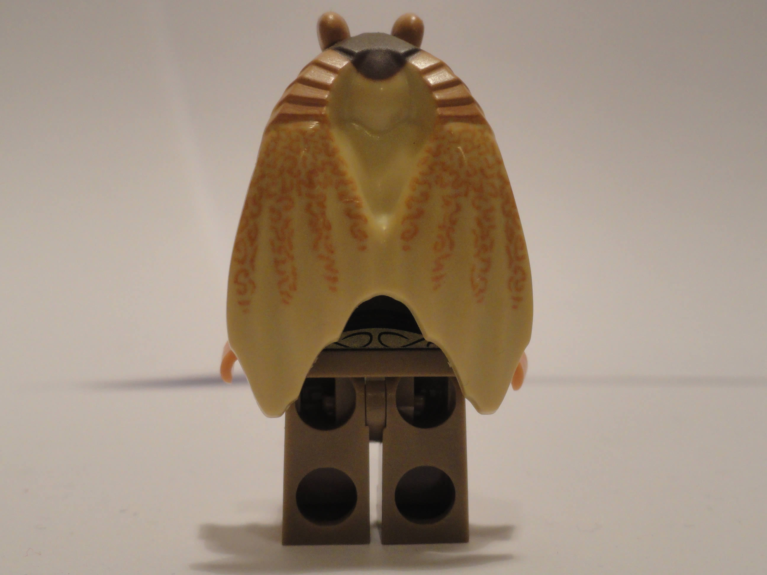 dsc05513.jpg