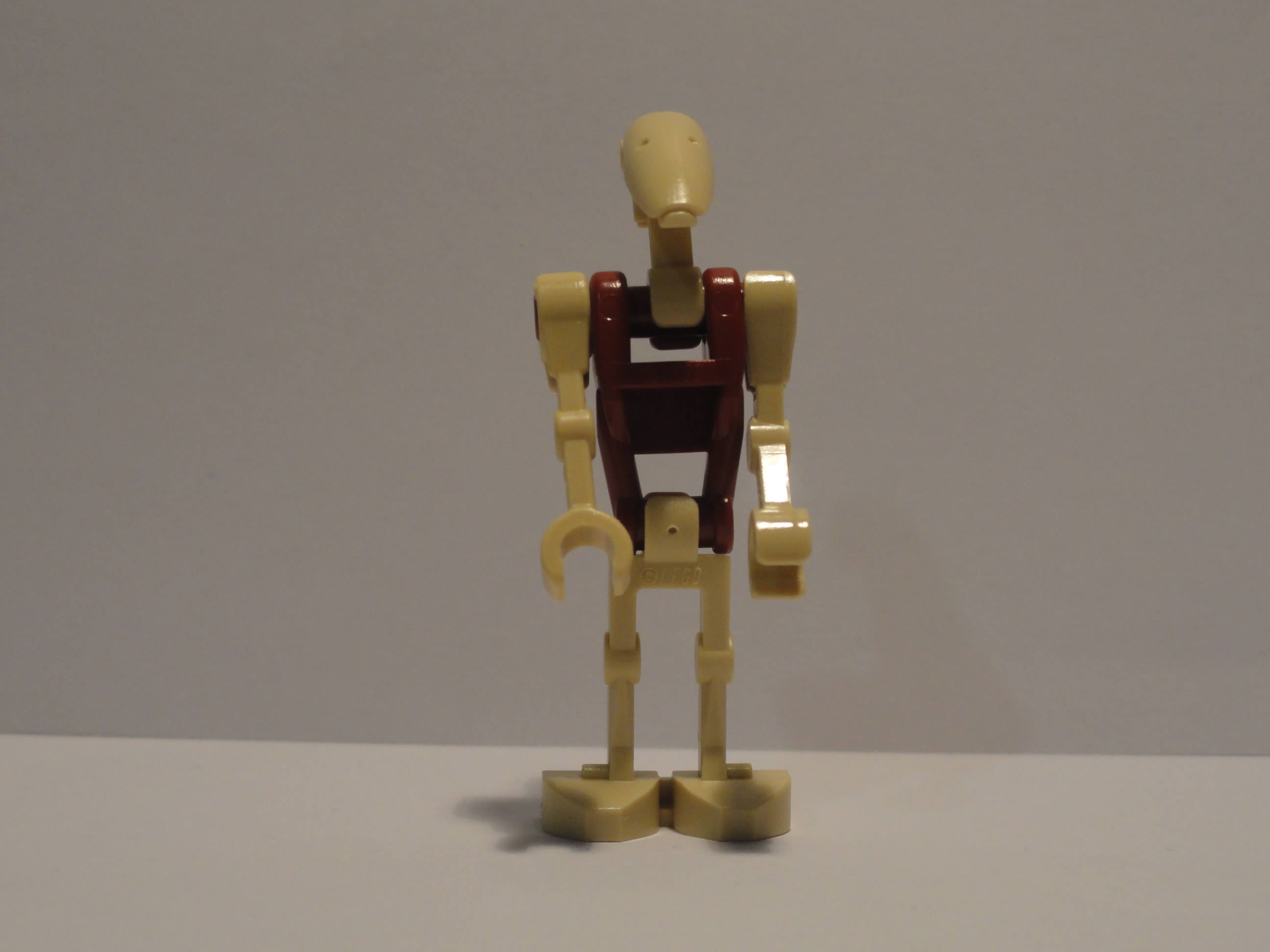 dsc05545.jpg