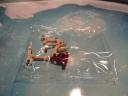 dsc05542.jpg