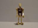 dsc05545.jpg