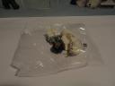 dsc05608.jpg