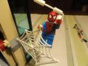 dsc05717.jpg