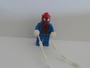 dsc07429.jpg
