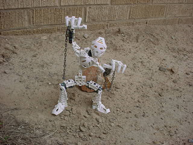 skeletoa3.jpg