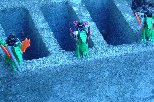 dsc00835.jpg