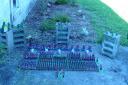 dsc00814.jpg