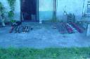 dsc00825.jpg