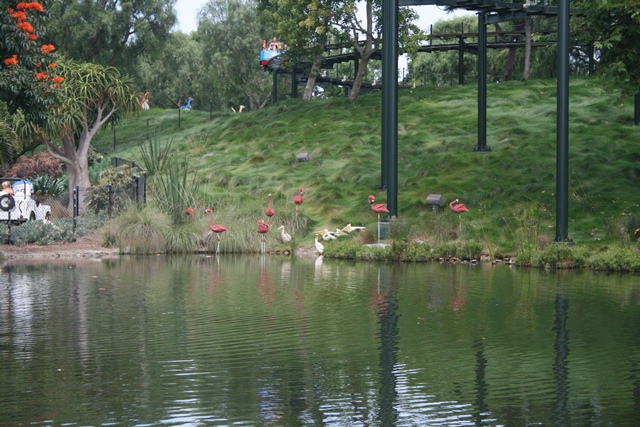 img_5818_day4_2012_014.jpg