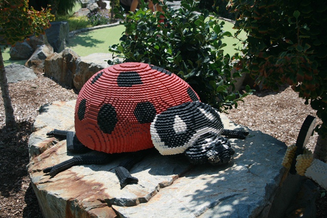 img_5978_day4_2012_174.jpg