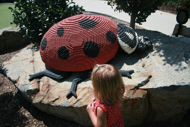img_5984_day4_2012_180.jpg
