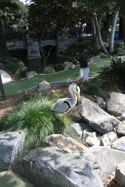 img_5985_day4_2012_181.jpg