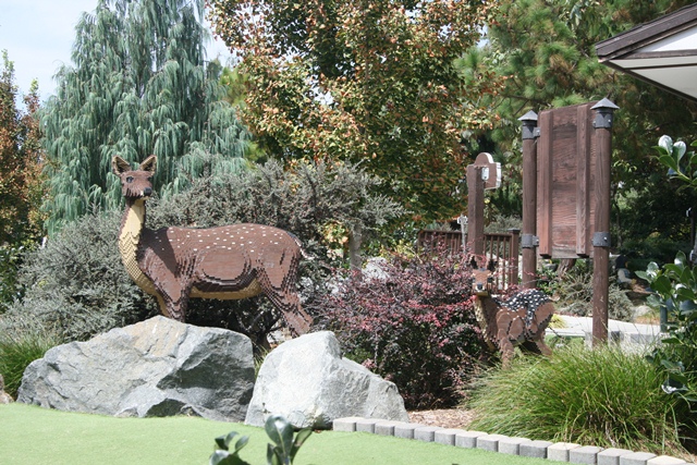 img_5993_day4_2012_189.jpg