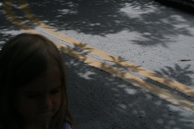img_6011_day4_2012_207.jpg