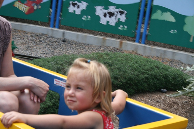 img_6050_day4_2012_246.jpg